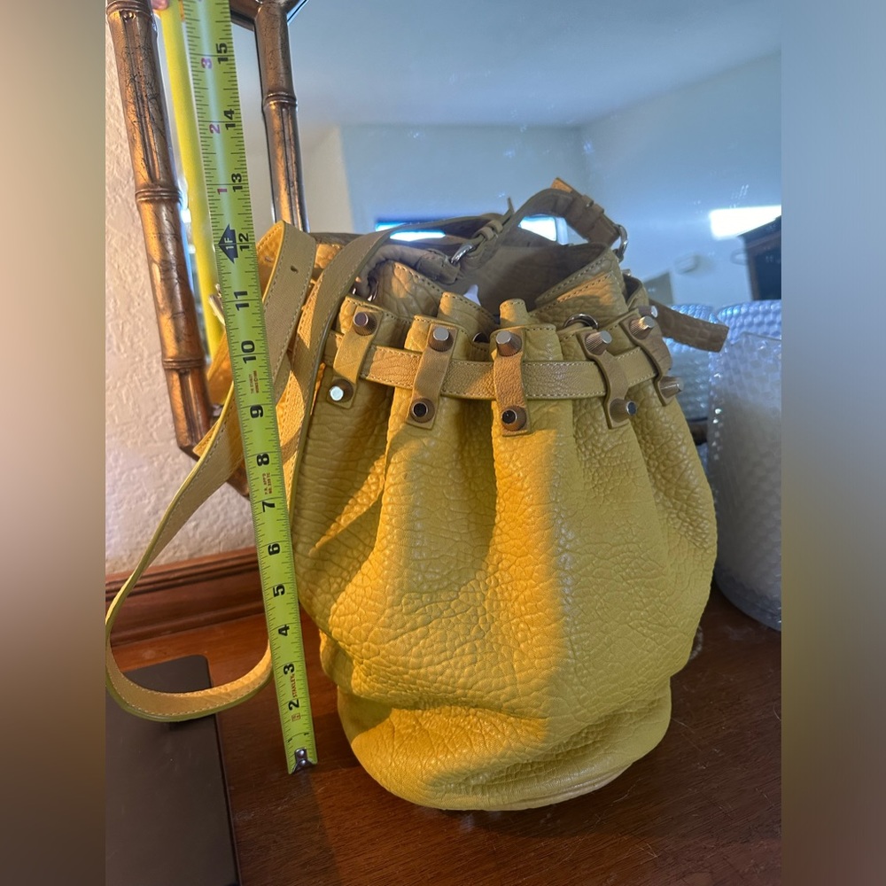 Large Alexander Wang Diego bucket bag 
Thick heavy soft yummy leather w studs - Picture 5 of 15
